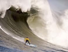 开云体育官网-逆子的权杖，当萨内带领马赛撕裂法兰西的完美图纸