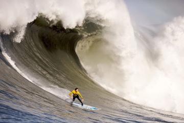 开云体育官网-逆子的权杖，当萨内带领马赛撕裂法兰西的完美图纸