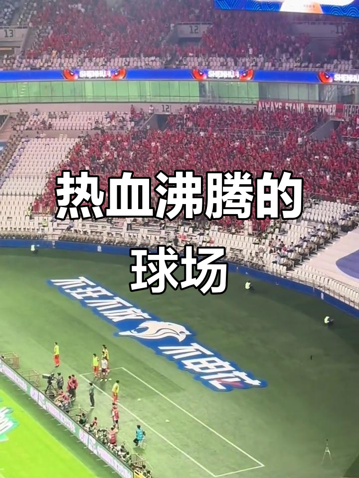 开云体育中国-申花主场大胜上港，稳固积分榜前列