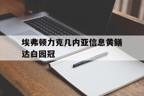 开云体育登录-包含埃弗顿力克几内亚信息黄鳝达白园冠的词条
