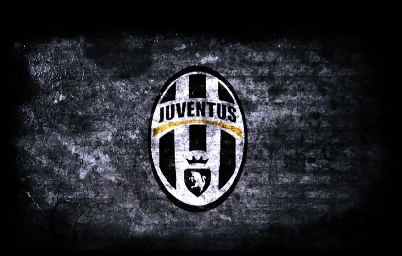 开云体育入口-尤文图斯主场大胜维罗纳，取得胜利