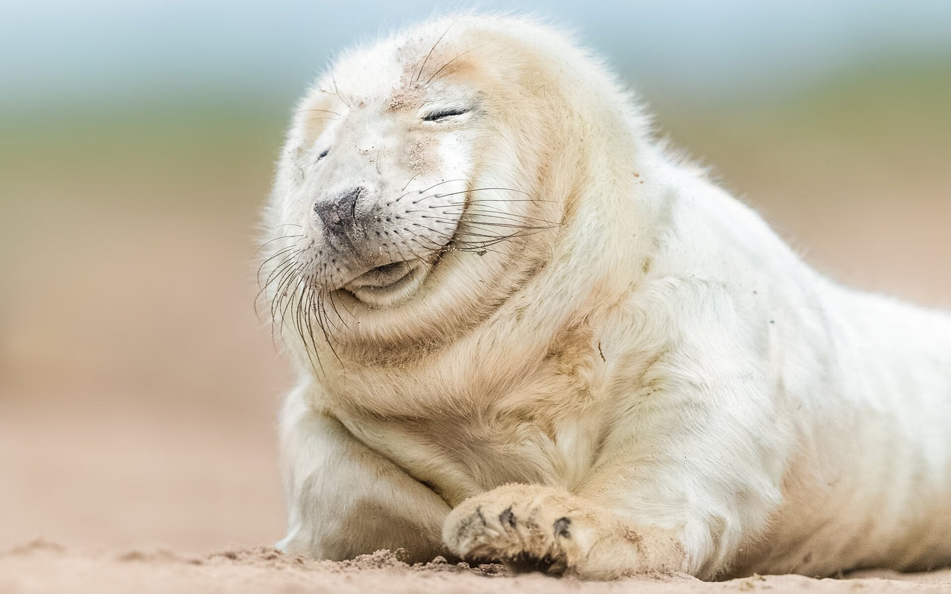 开云体育官方网站-冰封北境，烈焰重生，英格拉姆于极限压力下完成正名之战