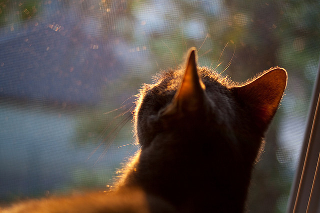 开云体育官方网站-冰封北境，烈焰重生，英格拉姆于极限压力下完成正名之战
