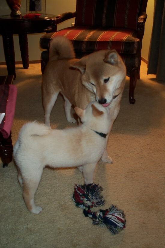 开云体育APP下载-草根马里的惊世一击，当非洲铁骑冲垮西甲贵族