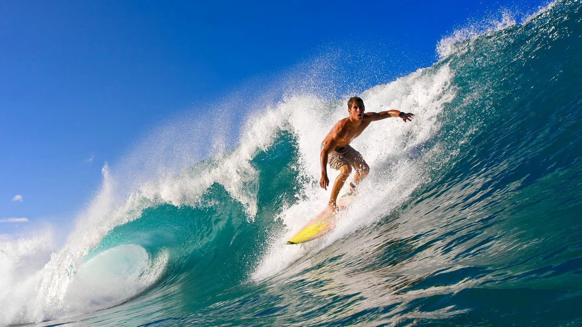 开云体育-绿茵场与乒乓球台，同一种心跳